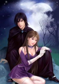 海贼之文斯莫克家女婿