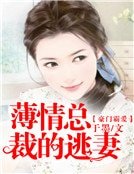 豪门霸爱:薄情总裁的逃妻