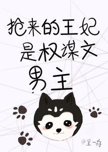 抢来的王妃是权谋文男主